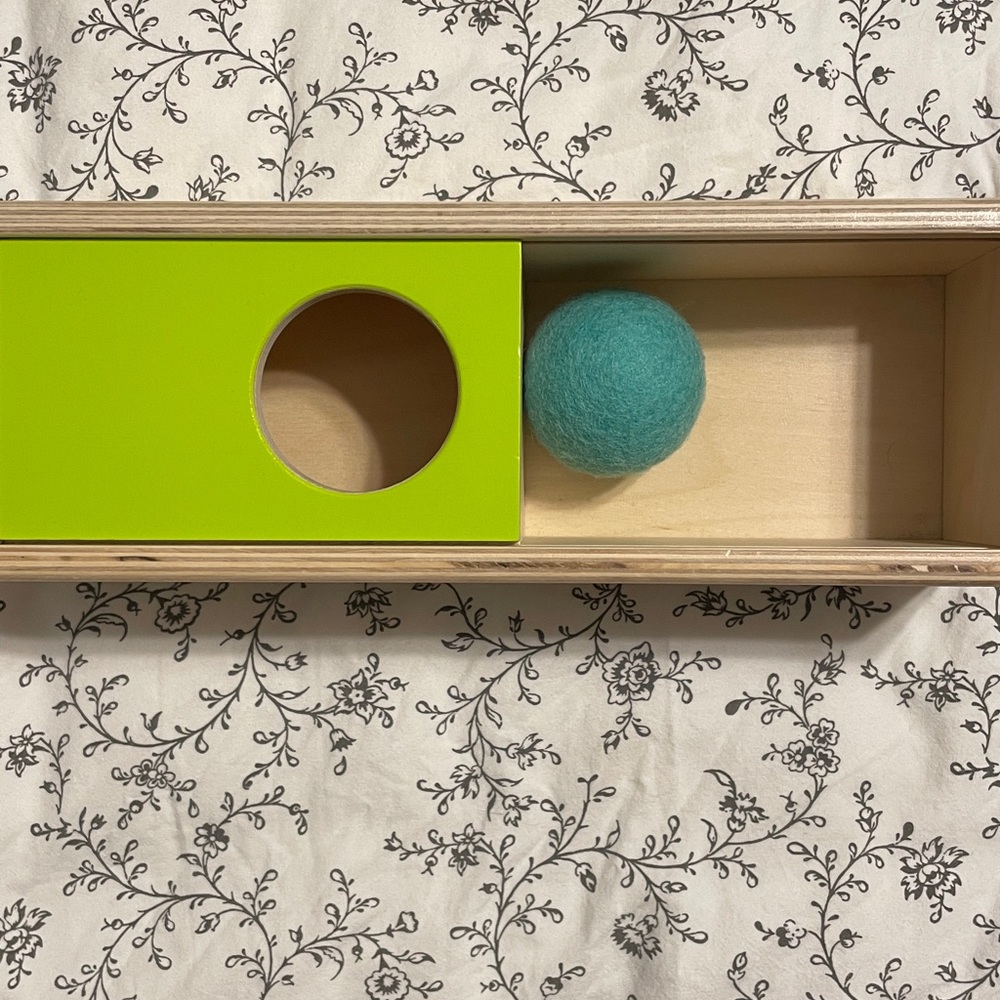 Lovevery The Thinker Play Kit 11-12 Months - Picture 2 of 15